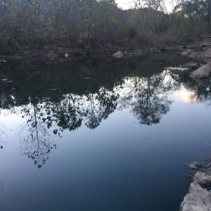 Meet your Posher, Aimie